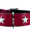 Hunter Halsband Magic Star rot