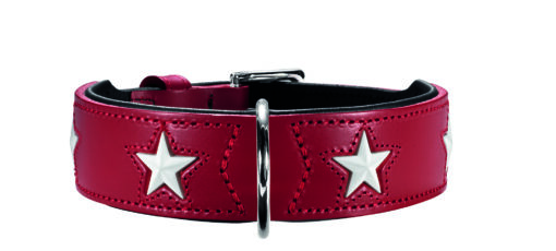 Hunter Halsband Magic Star rot