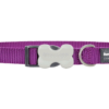 Red Dingo Hundehalsband Uni violett