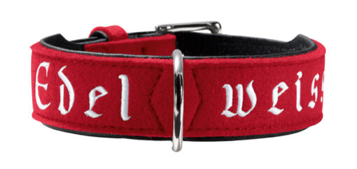 Hunter Halsband Edelweiss rot / schwarz