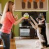 P.L.A.Y. Wobble Ball-603