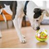 P.L.A.Y. Wobble Ball-2326