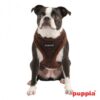 Puppia Yuppie Harness Typ A braun