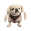 Puppia Barron Harness Typ A