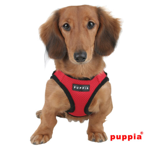 Puppia Softgeschirr rot