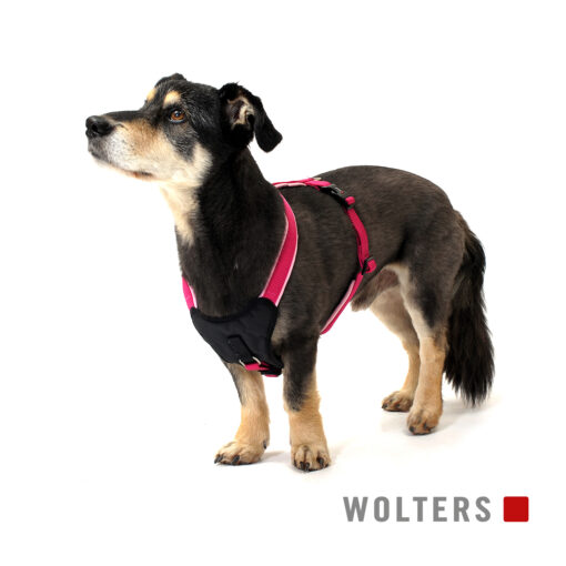 Wolters Geschirr Professional Comfort himbeer / rosé