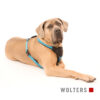 Wolters Geschirr Professional Comfort aqua / schwarz