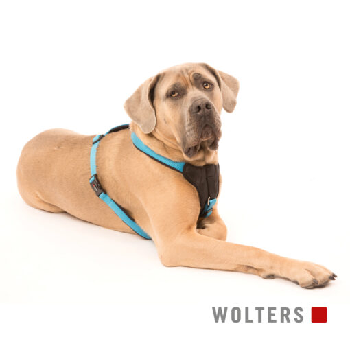 Wolters Geschirr Professional Comfort aqua / schwarz
