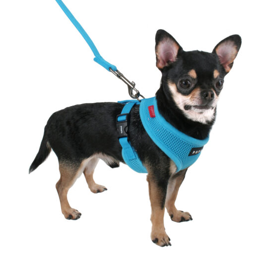 Puppia Softgeschirr blau