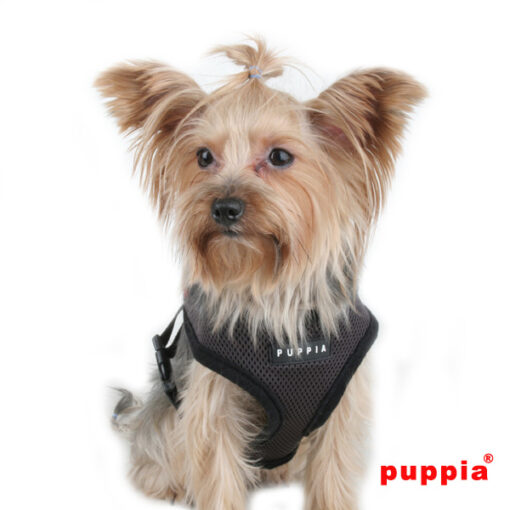 Puppia Softgeschirr braun