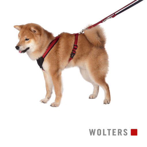 Wolters Geschirr Professional Comfort rot / schwarz