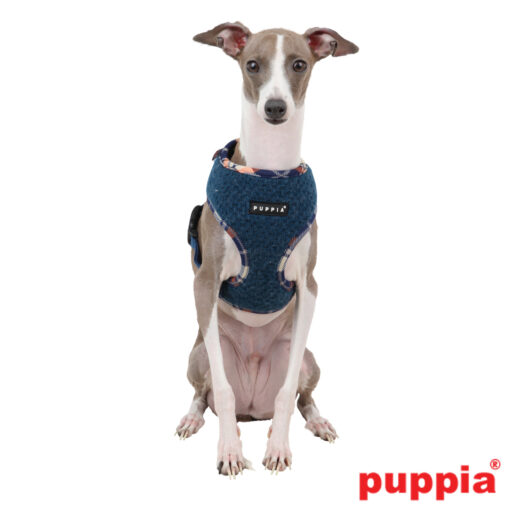 Puppia Wollgeschirr blau Typ 1