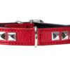 Hunter Halsband Rocky Petit rot / schwarz