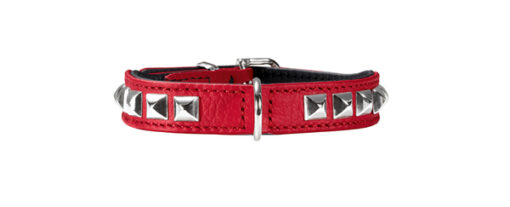 Hunter Halsband Rocky Petit rot / schwarz