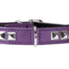 Hunter Halsband Rocky Petit violett / schwarz