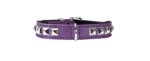 Hunter Halsband Rocky Petit violett / schwarz