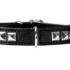 Hunter Halsband Rocky Petit schwarz / schwarz