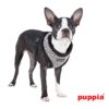 Puppia Damier Harness Typ A schwarz