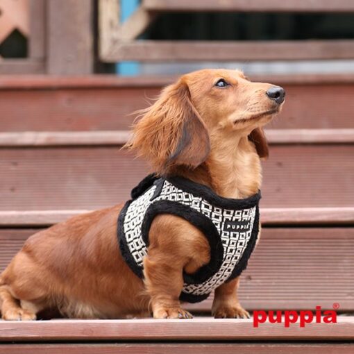 Puppia Damier Harness Typ B schwarz