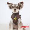 Puppia Winterjacke Winterstorm braun