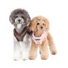 Puppia Witta Harness Typ B