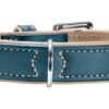 Hunter Halsband Canadian Elk petrol / beige