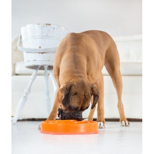 Slow Bowl Fun Feeder Large Orange