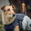 Hunter Hundemantel Uppsala Cozy anthrazit / grau