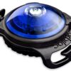 orbiloc Dog Dual Safety Light blau