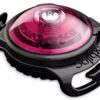 orbiloc Dog Dual Safety Light pink