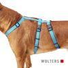 Wolters Geschirr Soft & Safe No Escape aqua