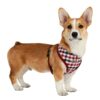 Puppia Neil Harness Typ A weinrot