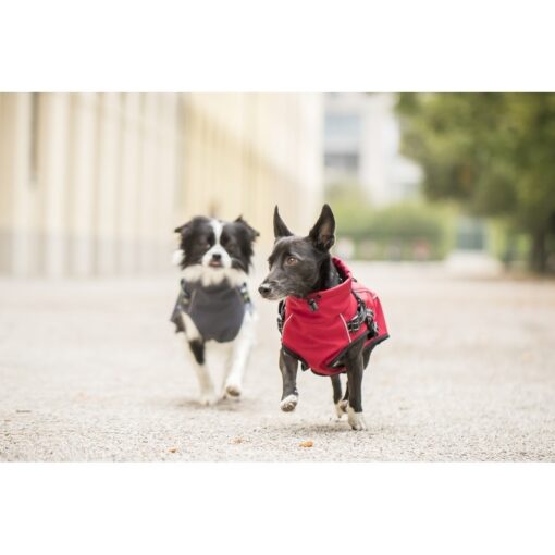 Softshelljacke mit integriertem Geschirr rot