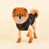 Puppia Winterjacke Frost schwarz