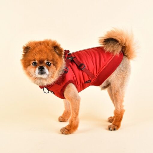 Puppia Winterjacke Frost wine