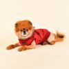 Puppia Winterjacke Frost wine