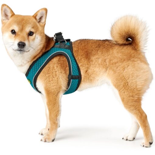 Hunter Geschirr Hilo Comfort türkis