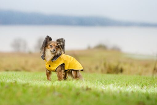 RukkaPets Stream Raincoat