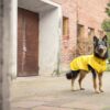 RukkaPets Stream Raincoat