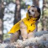 RukkaPets Stream Raincoat