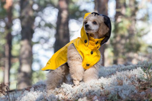 RukkaPets Stream Raincoat