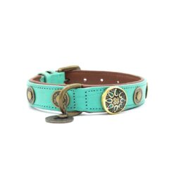 DWAM Halsband Rebel 2,5 cm