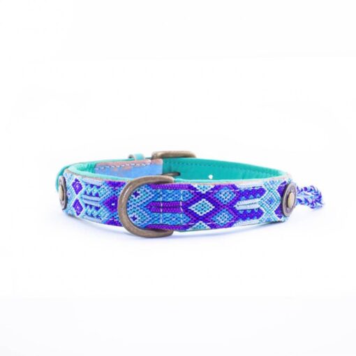 DWAM Halsband Blue 2,5 cm