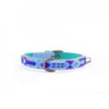 DWAM Halsband Blue 2 cm