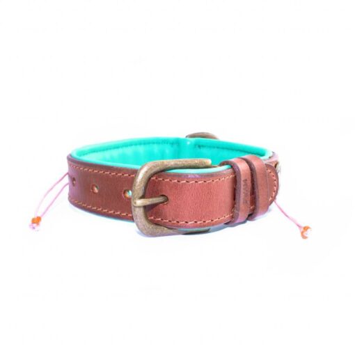 DWAM Halsband Sweet Mae 2,5 cm