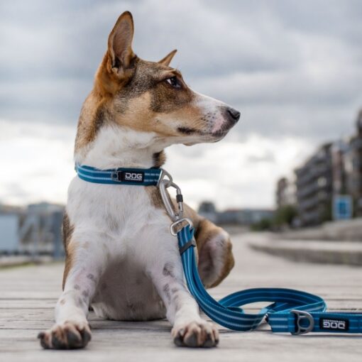 DOG Copenhagen Urban Freestyle™ Leine