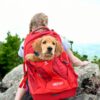 Kurgo - G-Train K9 Pack