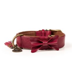 DWAM Halsband Bonnie bordeauxrot 4cm