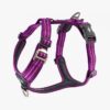 DOG Copenhagen Walk Air™ Geschirr violett