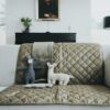 Hunter Hundedecke Hooge grün / beige
